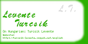 levente turcsik business card